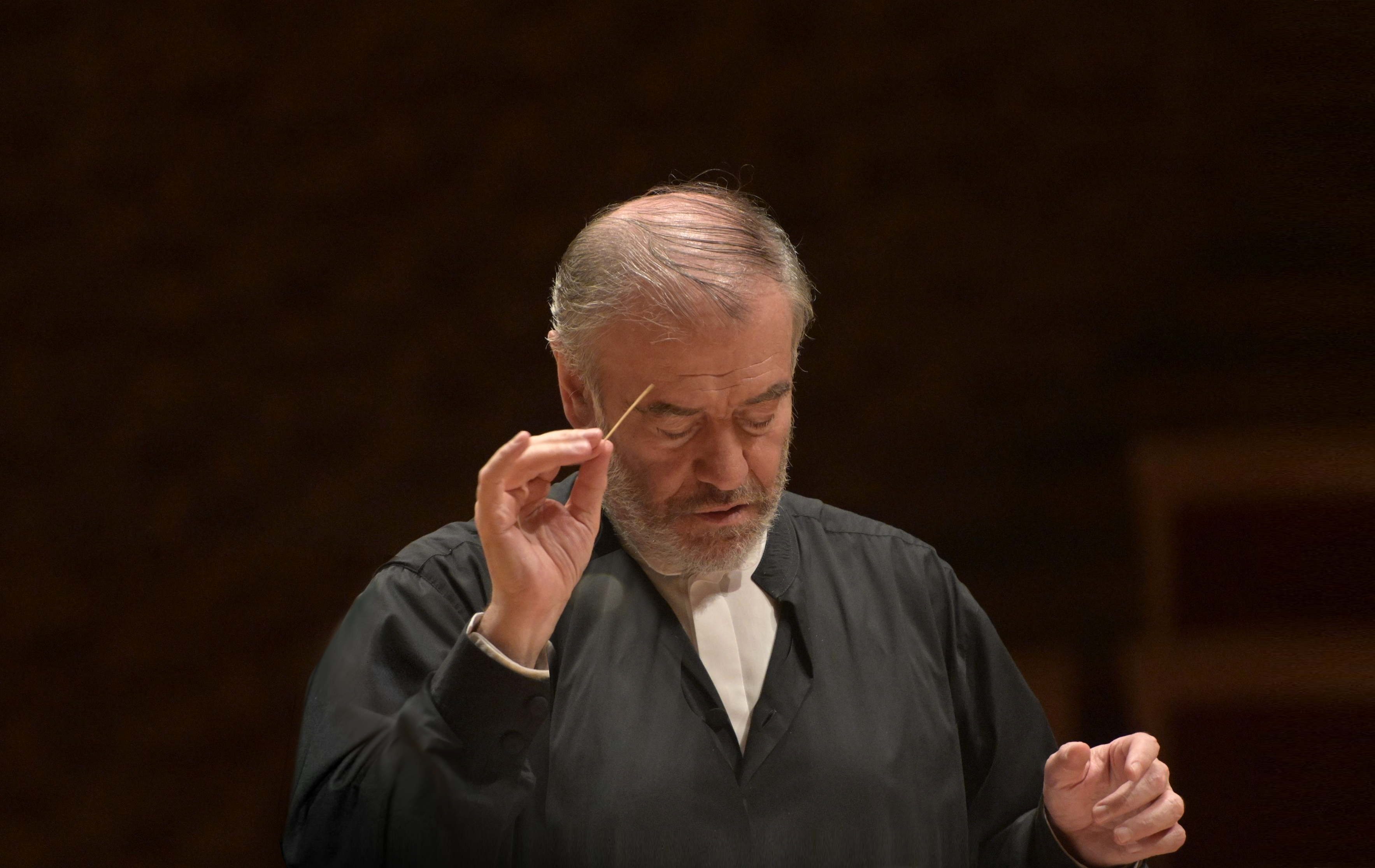 Mariinsky Symphony Orchestra Conductor Valery Gergiev