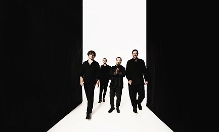 Проект «Треугольный сон»