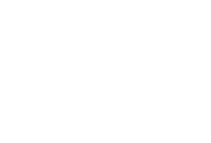 Барочный фестиваль