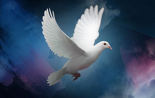 Мессу мира исполнят в Зале Зарядье фото