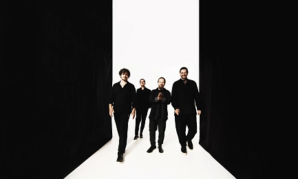 Проект «Треугольный сон»