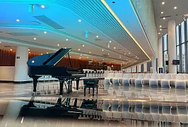 Новое концертное пространство превью