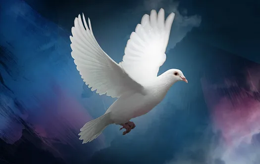 Мессу мира исполнят в Зале Зарядье фото