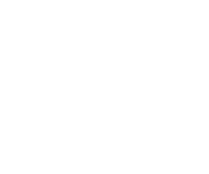 4 Зимний фестиваль